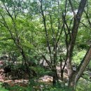황강생태공원 B-09 | 월악산 닷돈재 / 제천 아이랑 가기 좋은 캠핑장