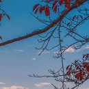 광형농장 이미지