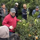 김형근농장 이미지