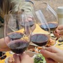 힐 스프링 | 서울 호캉스 추천 워커힐 2026 스프링 와인페어 후기 입장정보