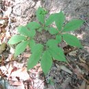 홍천농장 이미지