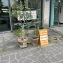 디벌트에스프레소바 | 제주 베라체 카페 디벌트 에스프레소 바 | 노트북 작업하기 좋은 에스프레소 맛집