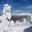 제 14차 정기 산행 2021년 12월4일 토요일 Mt. Pierce 이미지