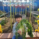 예현농장 이미지