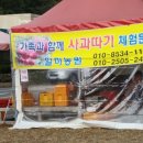 일미농원 네이버블로그