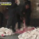 진실농장 이미지