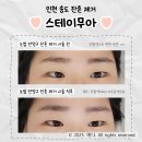 스테이 무아 이미지