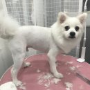미쓰멍 이미지