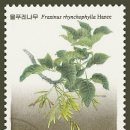 산과 들의 약용식물 이미지