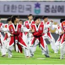 연세대태권도 이미지