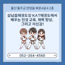 KAT태권도 이미지