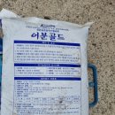 안테나농장 이미지