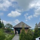 백설애견 이미지