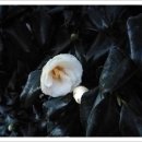 산수정펜션 이미지