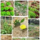 유빈농장 이미지