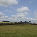 지티행정사사무소 이미지