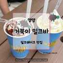 거북이 밀크바 | 양양 죽도해변 오션뷰 가볼만한곳 쉐이크 맛집 거북이밀크바 주차