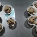 블루베리사슴농장 이미지