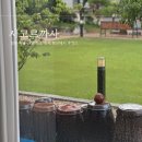 시고르까사 | 가평 독채 펜션 시고르까사에서 찐 촌캉스 후기