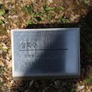 최덕호 꿈의대화 이미지