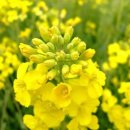 송*화 - 미추홀구 숙골로88번길 12 | 송*화