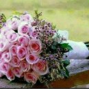 나눔의 집 이미지