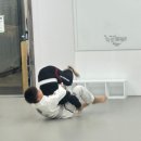 키즈 MMA 주짓수 태권도 | 한 곳에서 주짓수·태권도·MMA까지?! 청천동 합성태권도장 후기