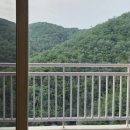 없음 | [단양여행]단양 소노벨 숙소 내돈내산 솔직후기(재방문 의사 없음...)