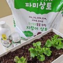 집에서 상추키우기 쉬운 플랜트박스 재배세트 후기
