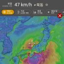 6호태풍 장미 일본상륙(6월2일) 이미지