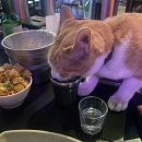오성맥주 네이버블로그
