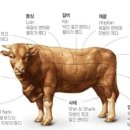 김평화의한우마을 이미지