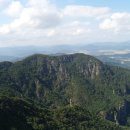 여우와늑대 이미지