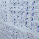 SM미디어센터 | 30주년 부천판타스틱 영화제 후기 <주관적인 간단한 영화평>