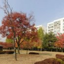 달안초등학교병설유치원 이미지