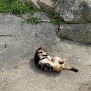 여울펜션 이미지