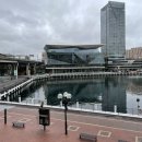 (주)신정중한국제여행사 | 호주 시드니 6박 8일 day4 줌줌투어 대한관광여행사 블루마운틴 투어 + 휴버트