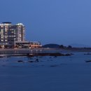 비체팰리스휴양콘도미니엄 이미지