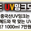 디엔피플