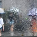 수채화(오후) 이미지