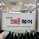 뉴 크레용 헤어