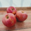 쭈니푸드 이미지