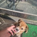 사창리공영주차장1 이미지