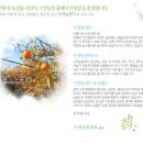 수연농원