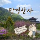 강원도 사찰 망경산사 템플스테이 대신 당일치기 절캉스 산책 후기