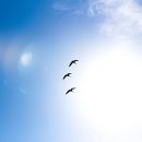 어느, 오후엔 이미지