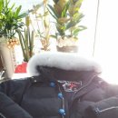 진천세탁소 이미지