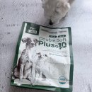 🐾 펫레이블 더블소프트 플러스텐 오리맛 솔직 후기