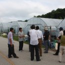 섬진강농장 이미지