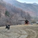 채운보건지소 이미지